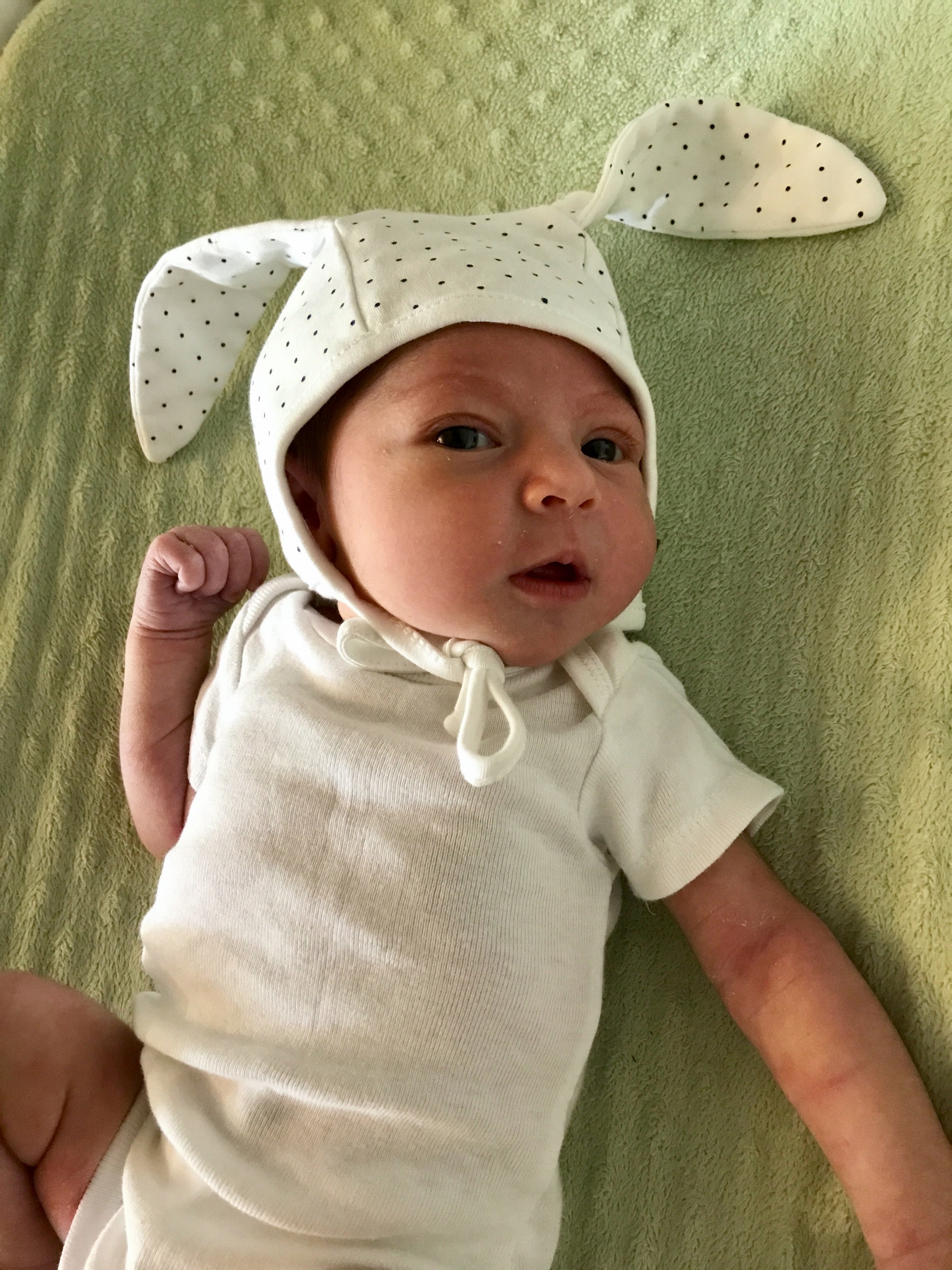 Pepper — newborn