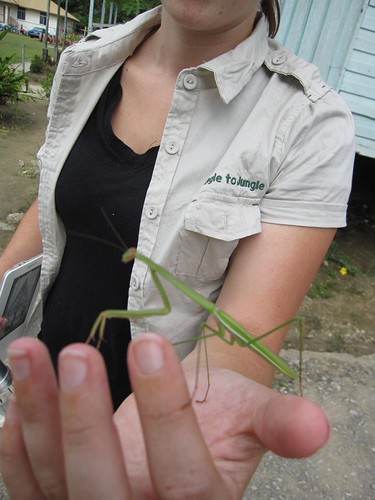 Jungle to Jungle — in the field